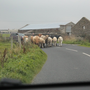 3 Driving on Orkney (20)