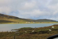 2 driving on South Harris (15)